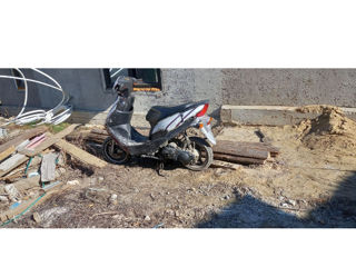Altă marcă Cumpar Honda dio