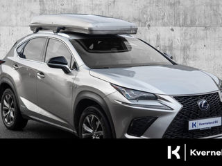 Lexus NX Series foto 2