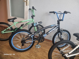 Bmx Biciclete Rotile la 20   Recent aduse Germany  bmx