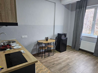 Apartament cu 1 cameră, 30 m², Centru, Chișinău foto 3