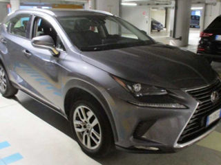 Lexus NX Series foto 1