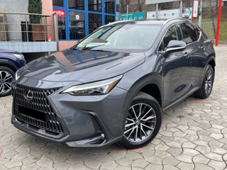 Lexus NX Series