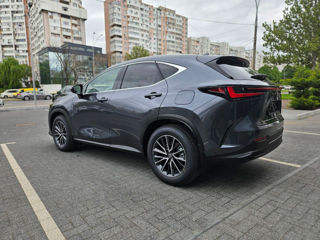 Lexus NX Series foto 5