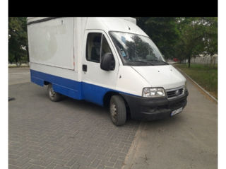 Fiat Ducato automagazin foto 2