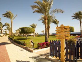 Grand Oasis Resort 4*+,Sharm EL Sheikh. Бухта Sharks Bay-хороший риф! foto 3