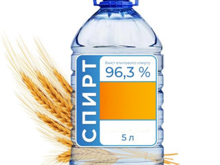 Alcool tare 96,3. Rachiu sau țuică. Алкоголь ректификат крепость 96,3