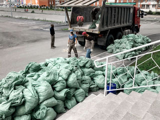 Evacuare gunoi deseuri hlam din constructii container 8 cub Hamali