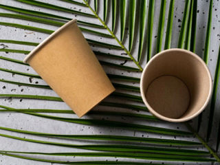Pahare din carton pentru cafea / ceai foto 3