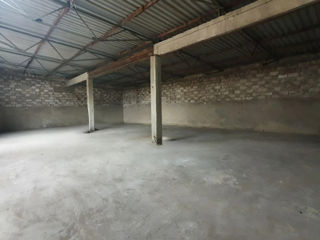 Chirie 780 m2 pentru depozit sau producere foto 3