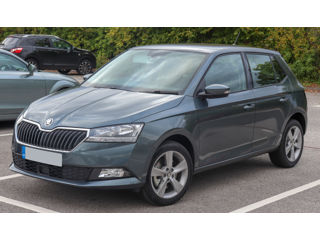 Piese Noi SKODA FABIA