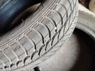 Debica 175/65 R14 foto 4