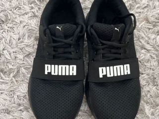 PUMA