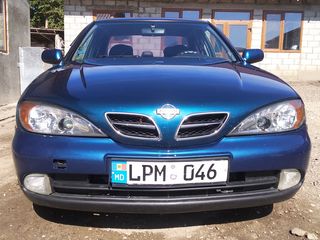 Nissan Primera foto 2