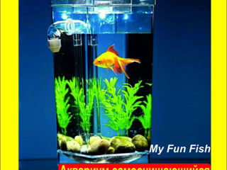 Аквариум самоочищающийся My Fun Fish !!! foto 2