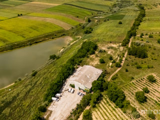 Se vinde afacere activă în s. Dolna, Strășeni, Chișinău foto 19