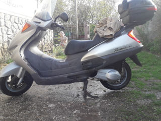 Honda pantion foto 2