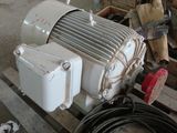 Motor electric 37 kw 3000 rot/min електромотор foto 1