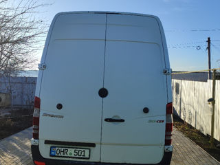 Mercedes Sprinter delfini