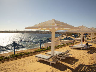 Grand Oasis Resort 4*+,Sharm EL Sheikh. Бухта Sharks Bay-хороший риф! foto 6