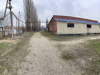 Zaim Промышленный холодильник  фото 4