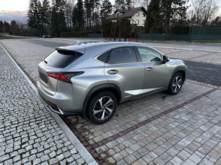 Lexus NX Series foto 4