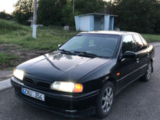 Nissan Primera foto 2