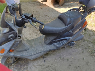 Kymco foto 4