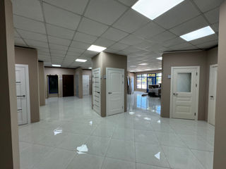 Vinzare spatiu comercial, 1000 m2, locatie de invidiat! foto 10