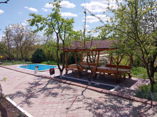 Vila "Între Lacuri": Ograda cu 2 vile, terase, săli, mangal, saună, 6 dormitoare sau căsuțe din lemn foto 2