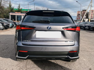 Lexus NX Series foto 5