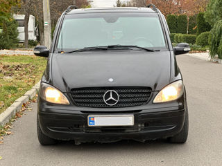 Mercedes Viano foto 3