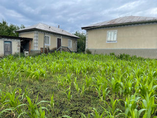 Se vinde casa S. Pelenia raionul Drochia 12ari foto 7