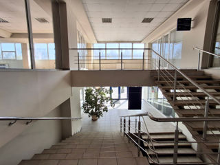 Spațiu Comercial / Reprezentanta de Închiriat. 600 mp – str. Calea Iesilor 10 фото 4