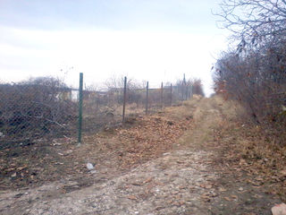 Teren de 7.78 sote, Truseni drumul spre Leuseni 12-15 km de la Chisinau, ingradit cu plasa rabita foto 4