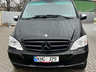 Mercedes Viano