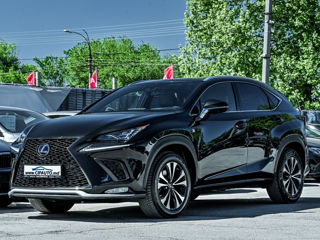 Lexus NX Series