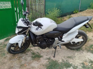 Honda Hornet