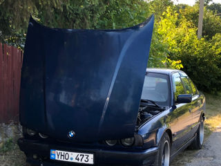 BMW 5 Series foto 6