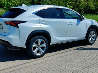 Lexus NX Series foto 5