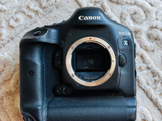 Canon 1Dx - aparat foto perfect. foto 5