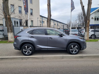 Lexus NX Series foto 4