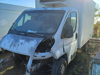 Fiat Ducato foto 3