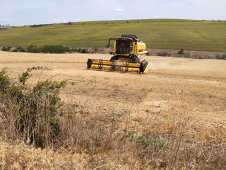 Услуги New Holland Tc 5.90 foto 4