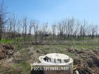 Vînzare teren! Poiana Domnească, pt. construcții, 4,2 ari, ofertă urgentă! foto 2