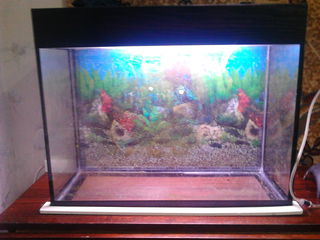 Продам аквариум 50 литров foto 2