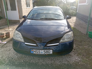 Nissan Primera foto 5