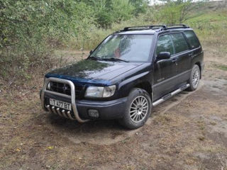 Subaru Forester foto 2