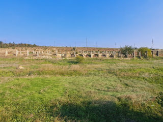 Casa, depozite,  teren 6.7ha+ livada de nuci+sistem fotovoltaic foto 7