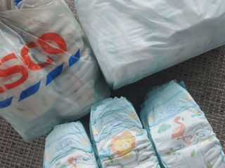 Din Anglia, pampers baby dry nr5