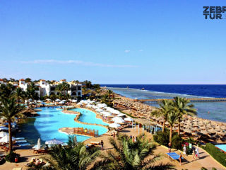 Egipt, Sharm El Sheikh - Rehana Royal Beach Resort Aqua Park & Spa 5*